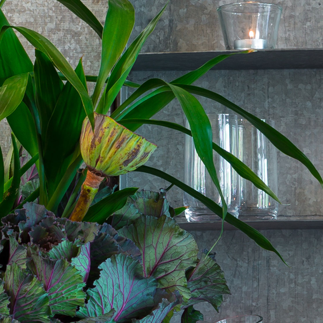 decor1
